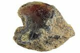 Large, Rough Indonesian Blue Amber (1 1/2 to 2" Size) - Photo 3